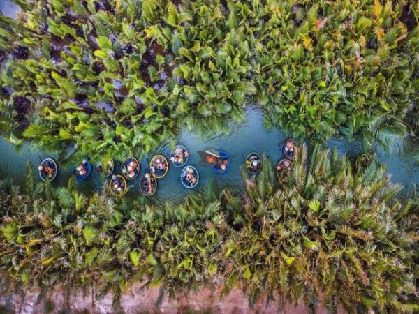 Coconut Forest Hoi An Vietnam