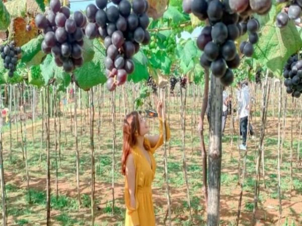 Nha Trang To Vinh Hy Day Tour