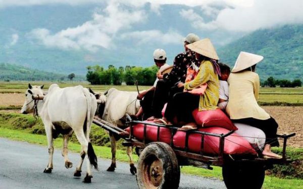 Private Tour Explore Real Countryside Of Nha Trang