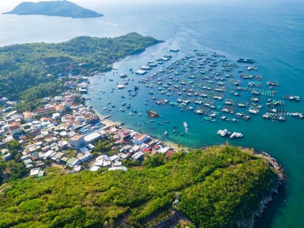 Hon Mieu Island Nha Trang