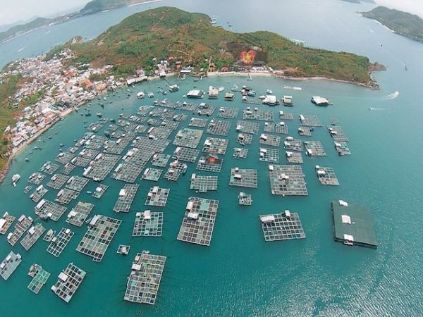 Hon Mieu Island Nha Trang