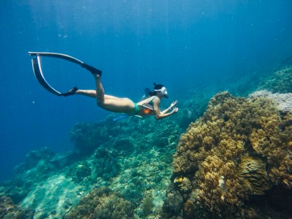 Nha Trang Freediving