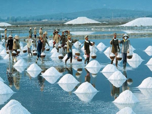 Nha Trang Salt Fields